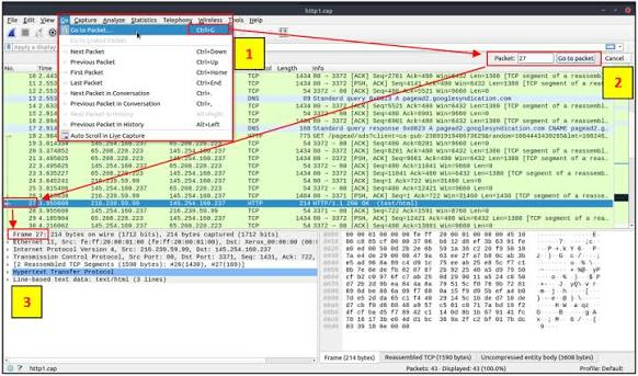 Example showing packet details in Wireshark